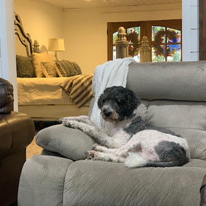 Meet your Posher, Billy kimberly